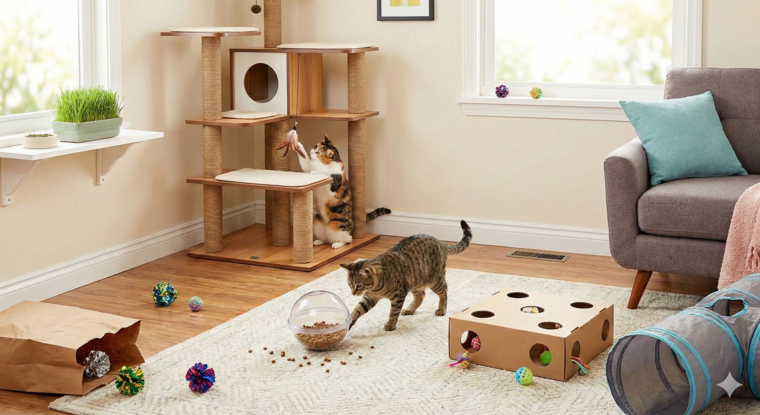 Food Puzzles and Foraging indoor cat weight loss tips at home petwynn